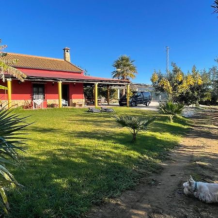 La Buganvilla, Descanso Entre Olivares Hornachuelos Buitenkant foto