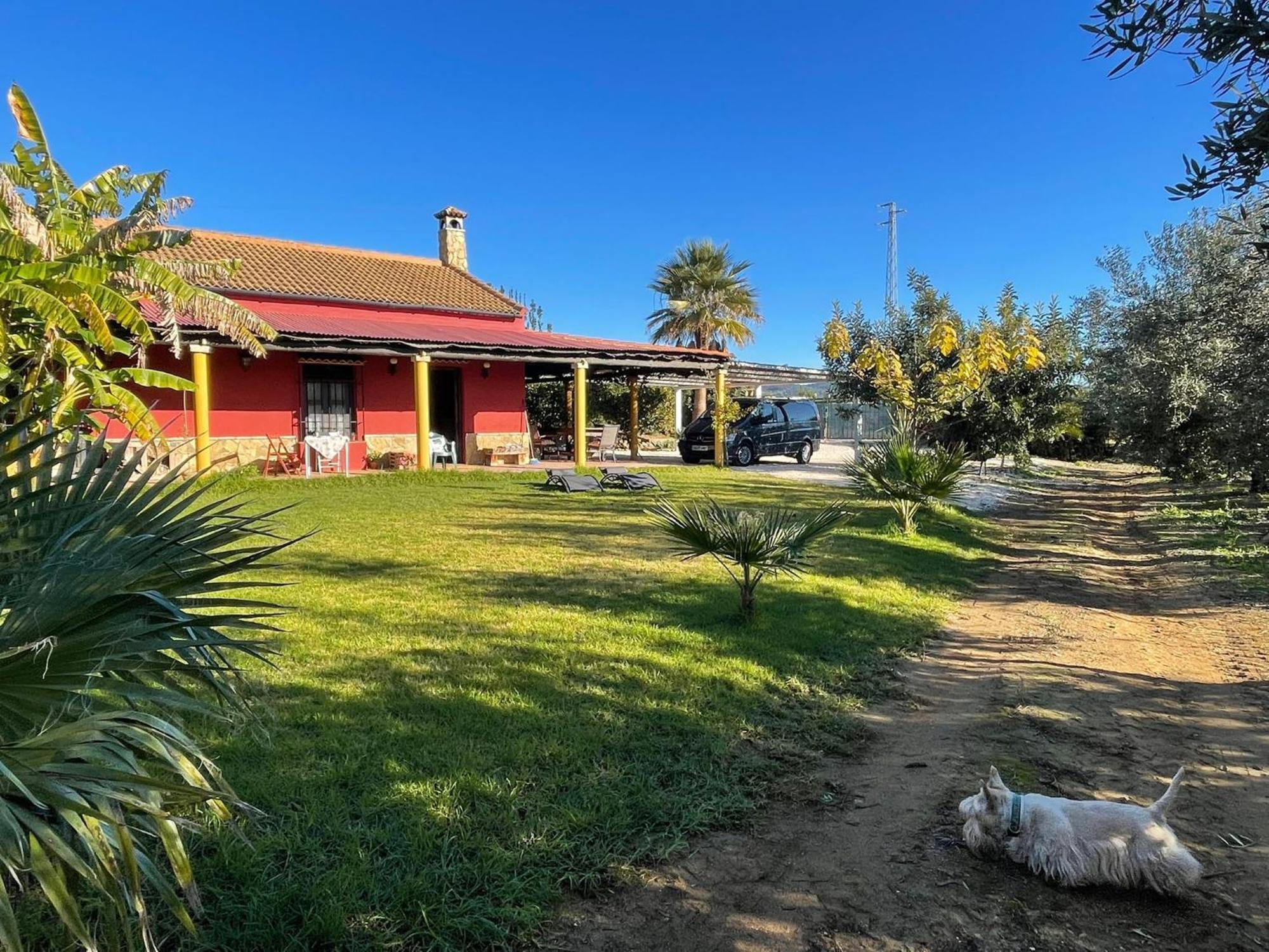 La Buganvilla, Descanso Entre Olivares Hornachuelos Buitenkant foto